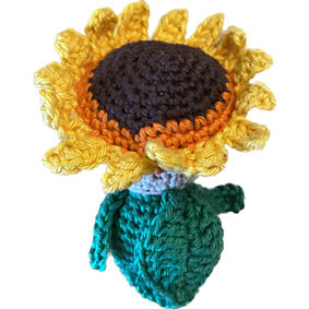 Babybloem - Zonnebloem